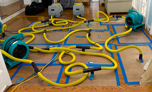 Professional Basement Flood Cleanup technician working in Belton, MO